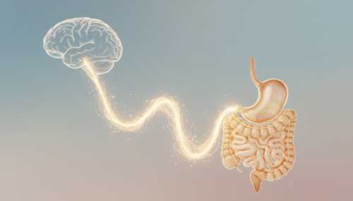 Conceptual, elegant artistic representation of the gut-brain axis. A gentle, ethereal golden light connects the abstract profile of a human brain to the digestive center in the stomach, set against a soft pastel background. High-quality medical wellness aesthetic.