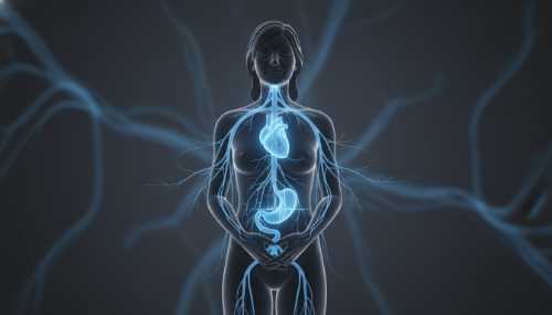 Artistic and photorealistic visualization of the human nervous system calming down. A silhouette of a serene figure standing against a dark background, with glowing, soft blue light tracing the vagus nerve from the brainstem down to the heart and stomach. Calming, ethereal, biological high-tech look, representing the sensory anchor and the parasympathetic reset.