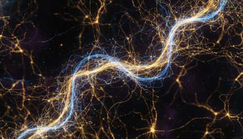 Visualización macro científica fotorrealista y abstracta de una red de sinapsis neuronales brillando intensamente con destellos de luz dorada y azul eléctrico, representando un torrente de neurotransmisores (dopamina y acetilcolina) fluyendo en perfecta armonía. Fondo oscuro profundo, iluminación bioluminiscente contrastante, renderizado 3D de altísima calidad que evoca la química del alto rendimiento cerebral y el estado de flujo.