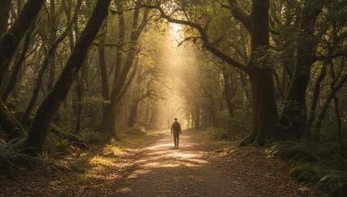 Photorealistic wide shot of a solitary figure walking along a sunlit dirt path in a lush, ancient forest. Golden hour light filtering through the dense green canopy, creating a peaceful and majestic atmosphere. Crisp details, cinematic lighting, symbolizing a biological reset and a deep connection with nature.