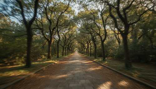 Creative photorealistic depiction of 'optic flow'. First-person perspective of walking down a beautiful tree-lined path. The center point ahead is in sharp focus, while the trees on the periphery have a subtle, smooth lateral motion blur. The image conveys forward momentum, safety, and the calming of the nervous system.