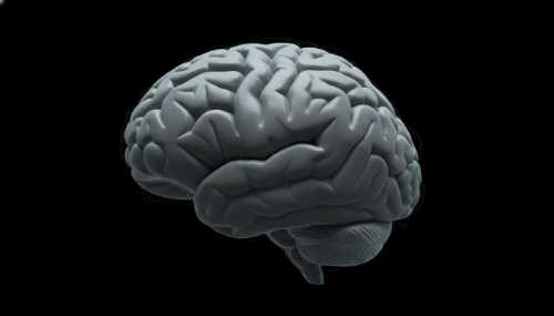A highly detailed, photorealistic medical yet artistic visualization of a human brain in a state of boredom. The brain is shown in subdued, desaturated gray and blue tones, with very faint or absent electrical sparks, set against a dark, monotonous background. The lighting is soft and flat, symbolizing the Default Mode Network running on autopilot without dopamine release.