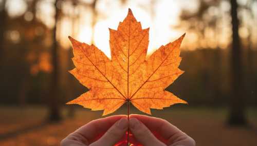 A photorealistic cinematic shot of a person's hands delicately holding a common autumn leaf. The leaf is heavily backlit by beautiful golden hour sunlight, revealing intricate, luminous glowing veins and complex textures. The background is a soft bokeh of nature. The image evokes a profound sense of awe, mindfulness, and the discovery of extraordinary beauty in an ordinary object.