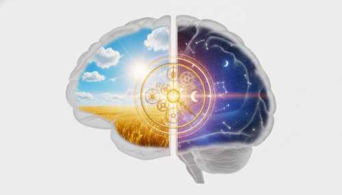 An abstract, hyper-detailed conceptual representation of the human brain's suprachiasmatic nucleus. A glowing golden internal clock within a translucent brain model, split down the middle showing a bright sunny day on one side and a starry night on the other. 3D render, scientific visualization, clean background.
