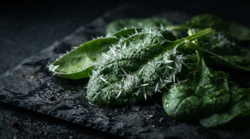 A macro conceptual photograph of raw, crisp green spinach leaves on a dark slate background, with sharp, needle-like frost crystals catching the light dramatically to represent oxalates. Moody, scientific, high-contrast, professional food photography, 8k, detailed texture.